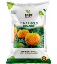 Grow Delight Marigold F1 Orange 100 Seeds